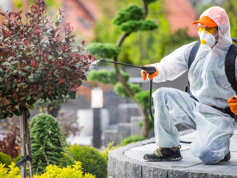 Çifteler Haşere İlaçlama